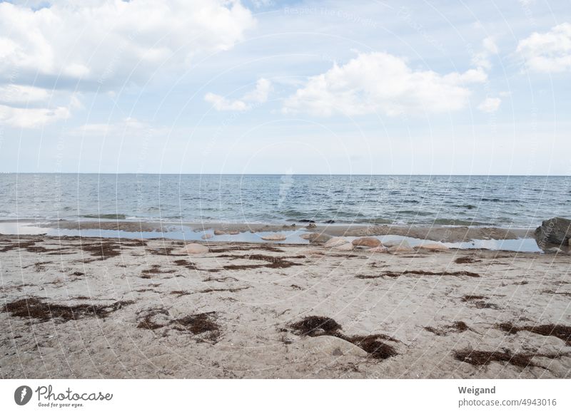 On the sandy beach with sea view Sandy beach Beach Ocean Summer Sun Background picture vacation Baltic Sea North Sea Northern Germany attentiveness Loneliness