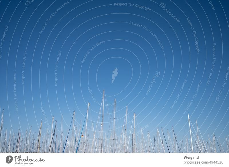 Detail shot of sail masts against blue sky Baltic Sea North Sea Schleswig-Holstein Nature Harbour Sailing masts sailboats Art Summer Blue sky postcard motif