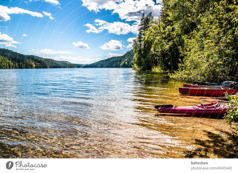 water stories Trip Clearwater Lake Surface of water boat Sky Water Vacation & Travel Mountain Tourism Forest Boating trip Far-off places Colour photo Canada