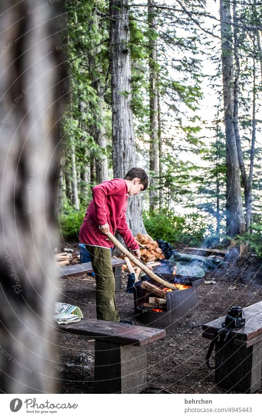 ambush | observed Canada Contentment Joy Family & Relations Vacation & Travel Idyll contented Nature Landscape Far-off places Freedom Colour photo Exterior shot