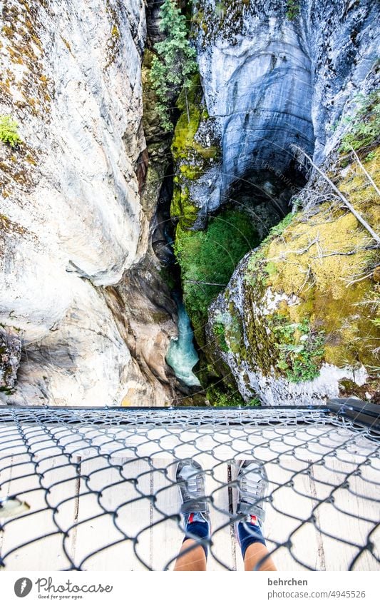 abyssal River Rock Wanderlust especially Fantastic Rocky Mountains North America Landscape trees Forest Canada Adventure Jasper national park Alberta Canyon