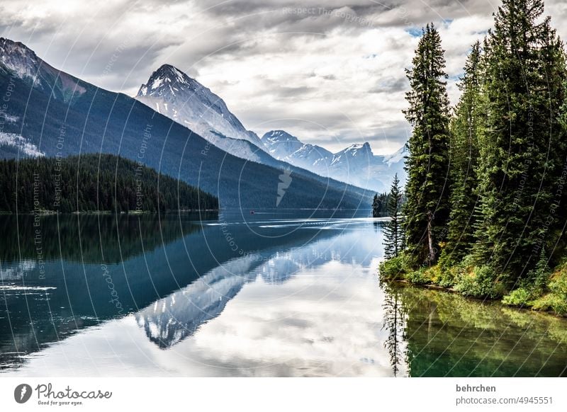 when up is also down Alberta Clouds Adventure Freedom Jasper national park Lake Canada Mountain Forest Landscape trees Exterior shot Nature Rocky Mountains