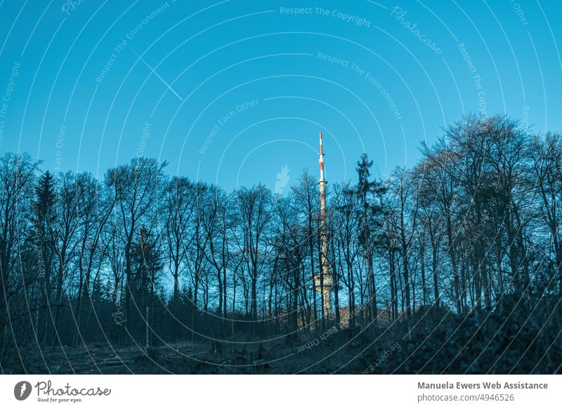 Behind a row of trees you can see the Bielefeld television tower Television tower hünenburg Blue Forest Landscape Teutoburg Forest red white Sunrise Blue sky