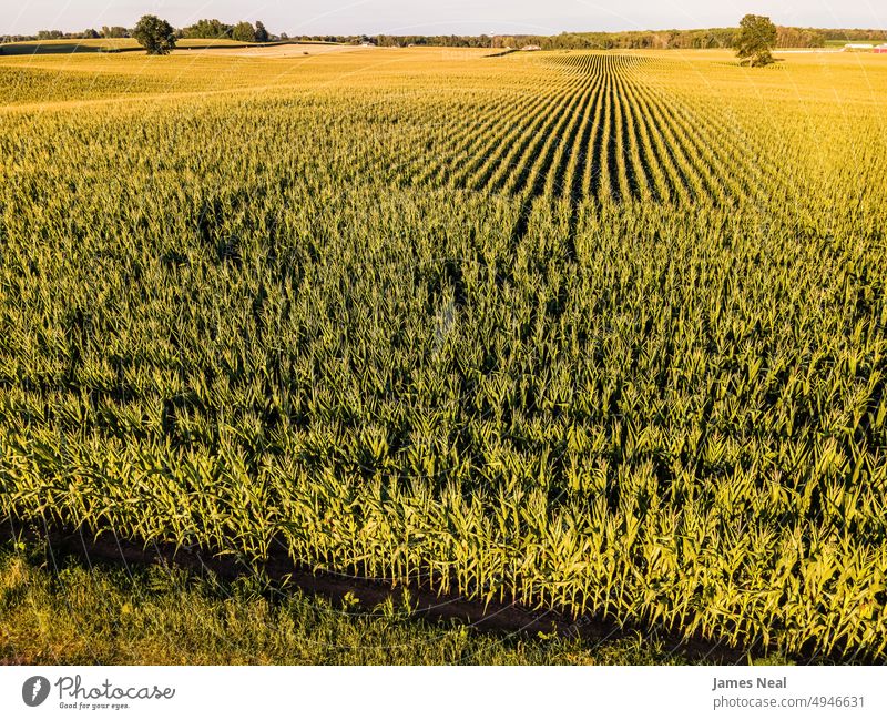 Elevated View of Farm Landscape horizon sunny natural nature day meadow background agriculture plant drone sustainable resources growth photography outdoors