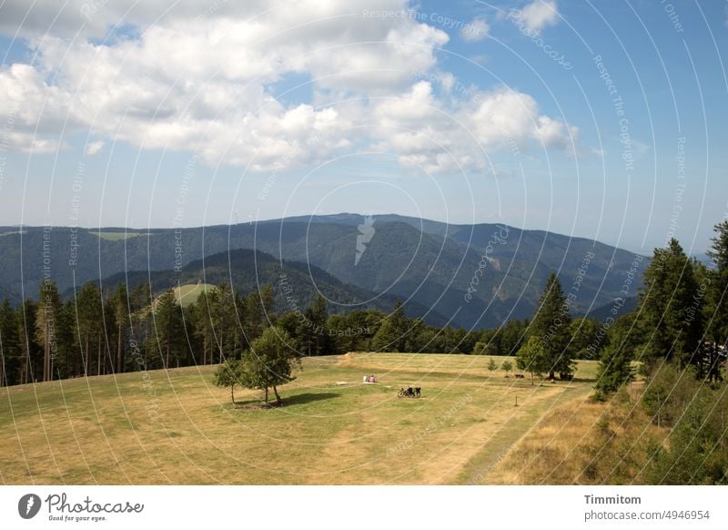 Black Forest in a cheerful mood Summer Beautiful weather mountains Brend Sky Clouds trees Meadow warm Landscape Mountain Colour photo Blue Green paths and paths