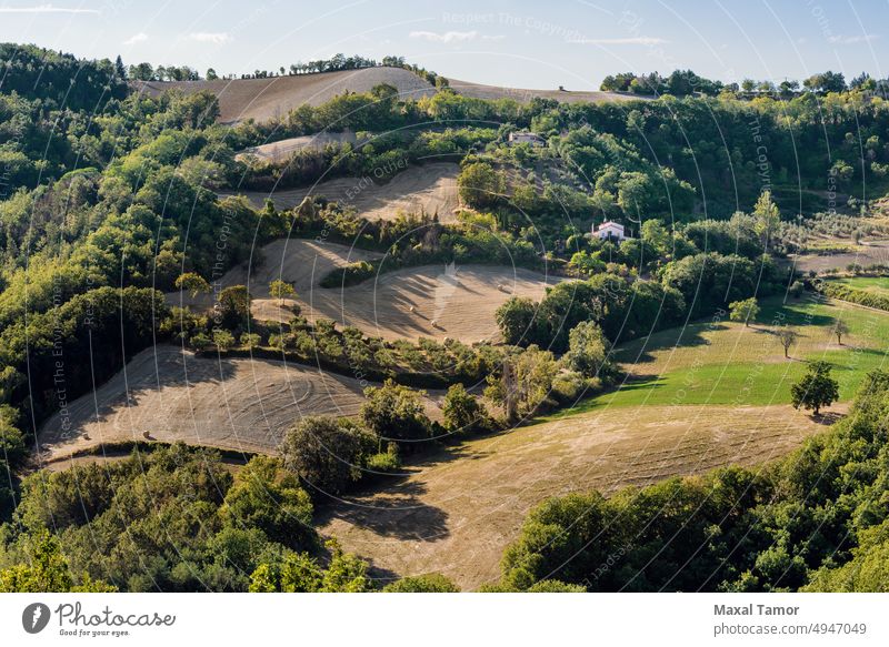 View of the fields and trees near Belvedere Fogliense in the Marche region of Italy Mondaino agriculture background blue clouds country countryside day