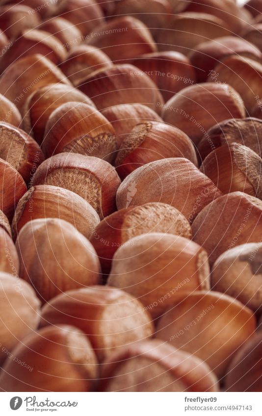 Closeup of some unopened hazelnuts texture copy space food healthy closeup brown filbert shell advent background shelled organic white walnut almond macro