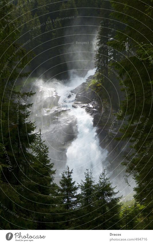 Waterfall behind trees Vacation & Travel Trip Summer Mountain Hiking Retirement Nature Plant Air Sunlight Tree Foliage plant Forest Alps