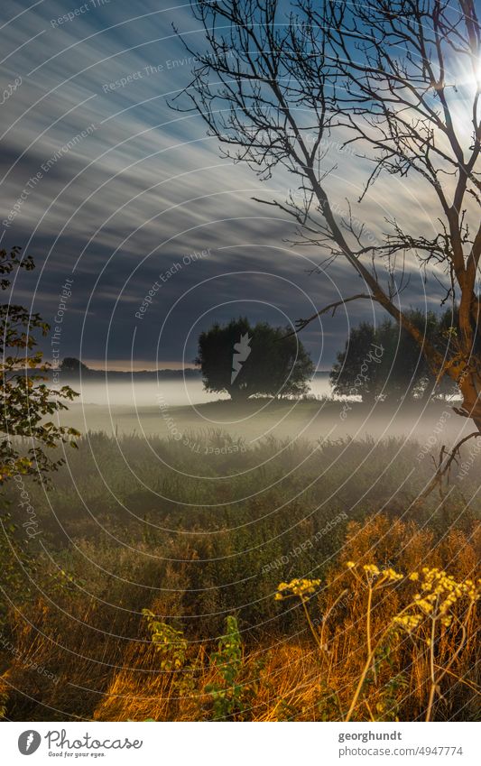 Misty Willows Night Lake Long exposure Night sky Twilight Lonely on one's own Fog River Channel Landscape Mecklenburg bush Nature Patch of fog lit Glow rays