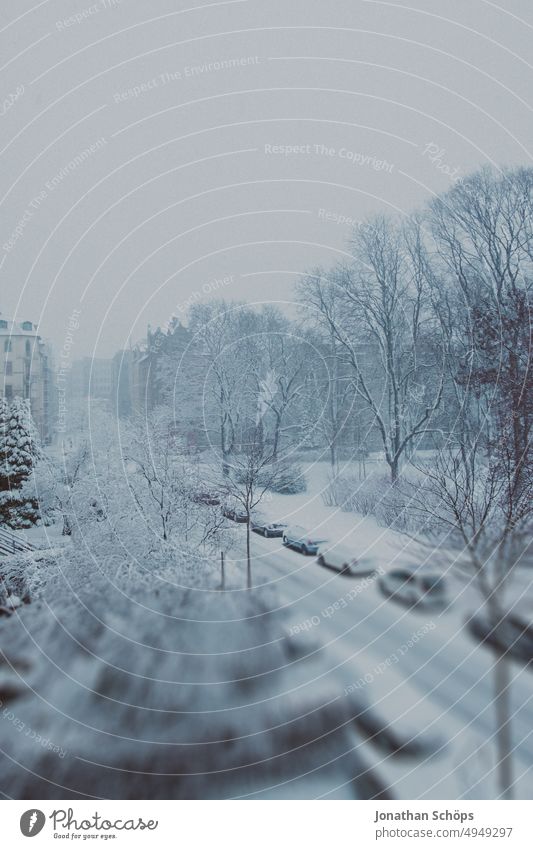 View of snowy street with parked cars in winter tranquillity Fabulous Calm silent Dreamily Weather Freeze freezing cold as an ass Bluish Snow layer