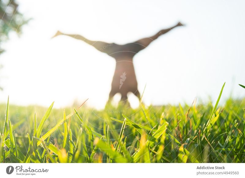 Green grass near man doing yoga lawn session park headstand asana zen balance harmony daytime stretch practice serene vitality salamba sirsasana peaceful summer