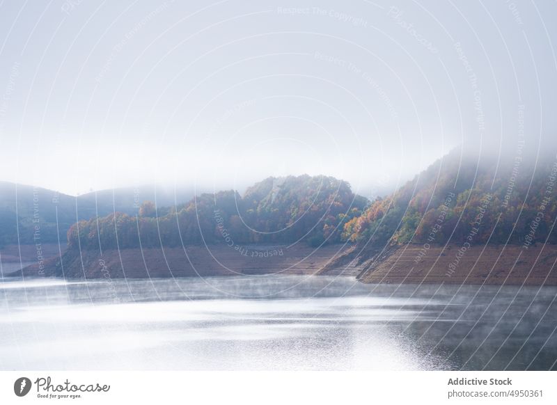 Fog over calm river and lush autumn trees nature landscape fog scenery picturesque forest scenic fall mist woods foliage colorful peaceful silent woodland quiet