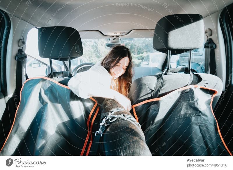 Young woman with her dog French Bulldog getting ready on the car ready for a walk, portrait image. Pet concept. Taking care of the man best friend. Woman taking his dog to a walk during a sunny day