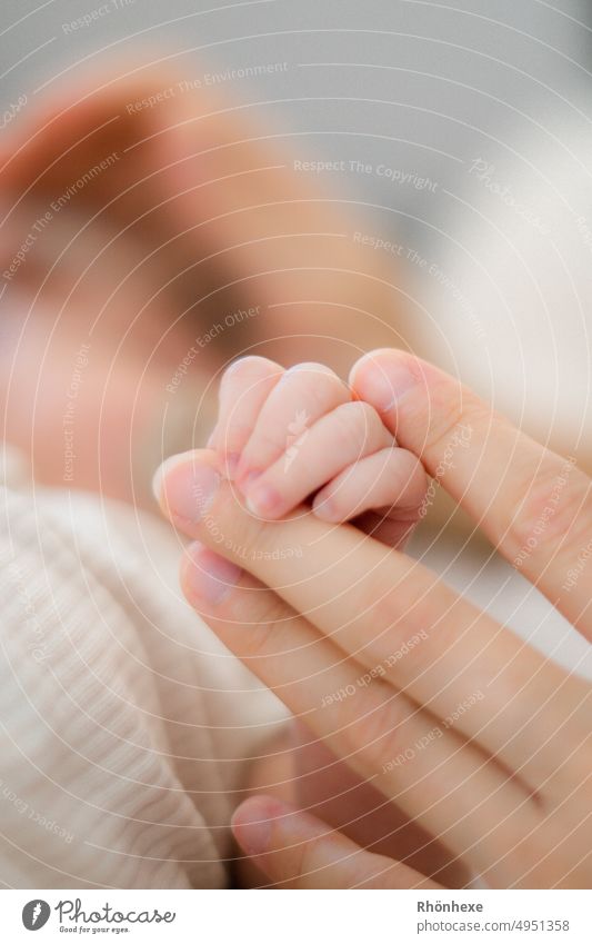 Small hand , big love Baby Hand Close-up Fingers Safety (feeling of) Trust Together Love Happy Emotions To hold on Protection Touch Colour photo Interior shot