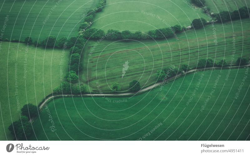 fields Street Lanes & trails off Road marking Road junction Bend Meadow Meadow flower meadows meadow flowers meadow plants field management aerial photograph