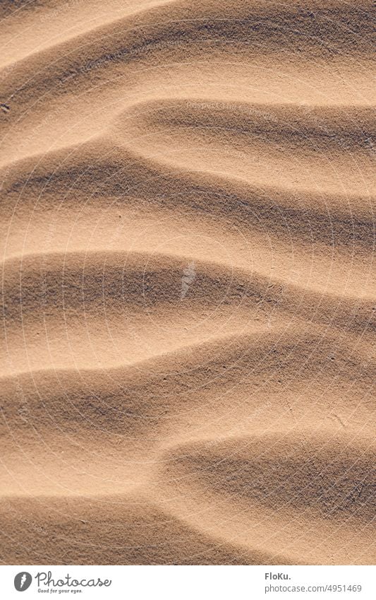 Beach sand texture Sand background Sandy beach beach sand structure collection Grains of sand Nature Summer coast Exterior shot Ocean Vacation & Travel