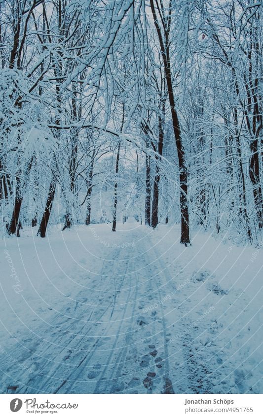 Forest path winter forest landscape with snow trees forest path off Winter walk Winter forest chill Seasons Snowscape Environment Deserted Nature Landscape