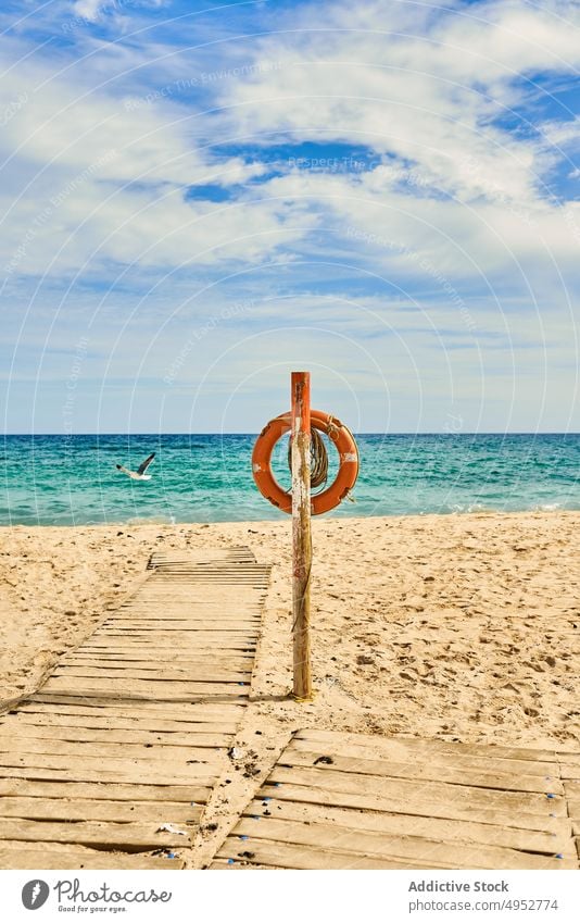 Lifesaver on post of sea shore under blue cloudy sky lifesaver footpath ocean blue sky nature seascape landscape horizon fly seagull lifebuoy sandy beach