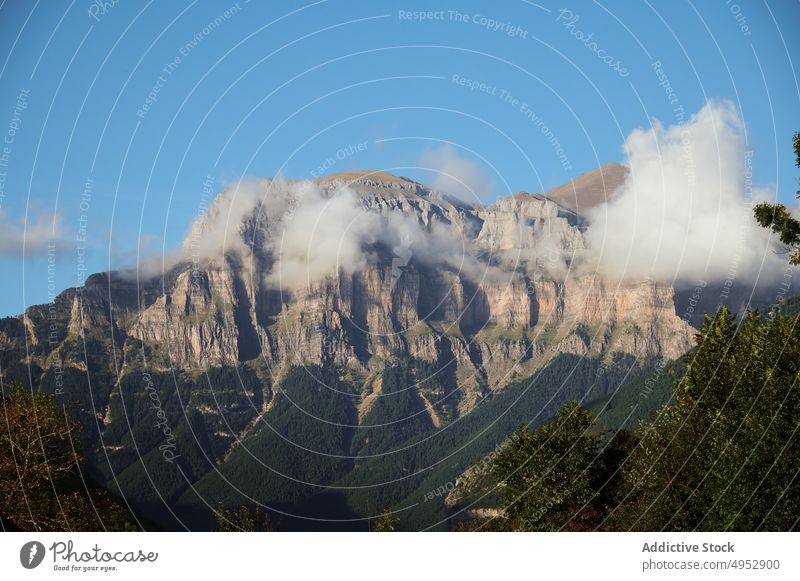 Rough mountain ridge rock field nature forest tree house range landscape summer broto spain grassy green cliff woods woodland summertime light scene scenery