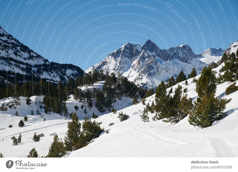 Snowy mountain peaks surrounded by dense forest range nature ridge snow highland environment landscape rock woods wild slope rocky pyrenees winter spain