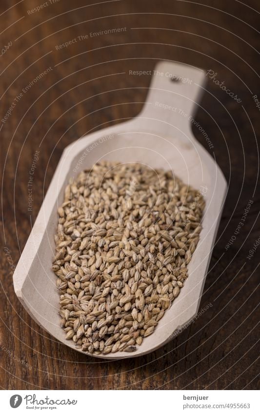 Malt for brewing on wood malt Rustic Shovel Malt shovel Wood Food Products Barley ingredient Harvest boil Agriculture segregated Sámen Close-up Grain Raw Rye