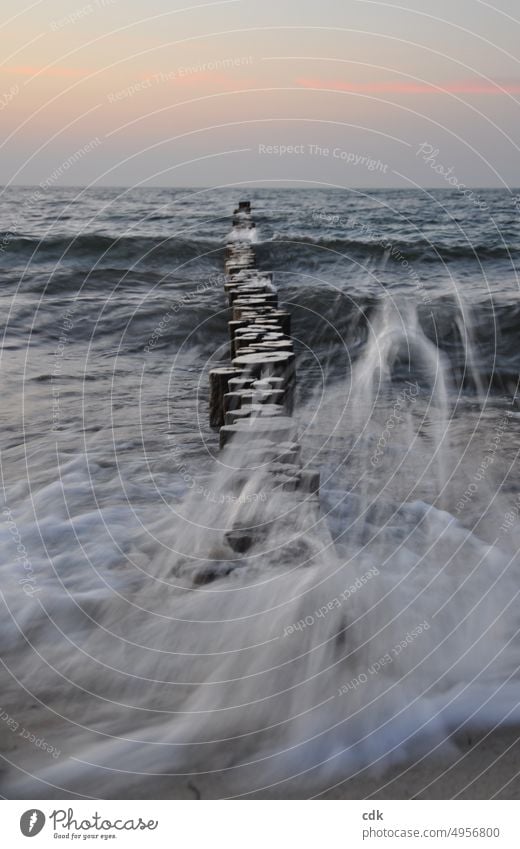 Groynes on the Baltic Sea | swell | capture the movement of the water. by the sea Ocean Water Beach Sand Vacation & Travel Summer Tourism Waves Sandy beach Sky