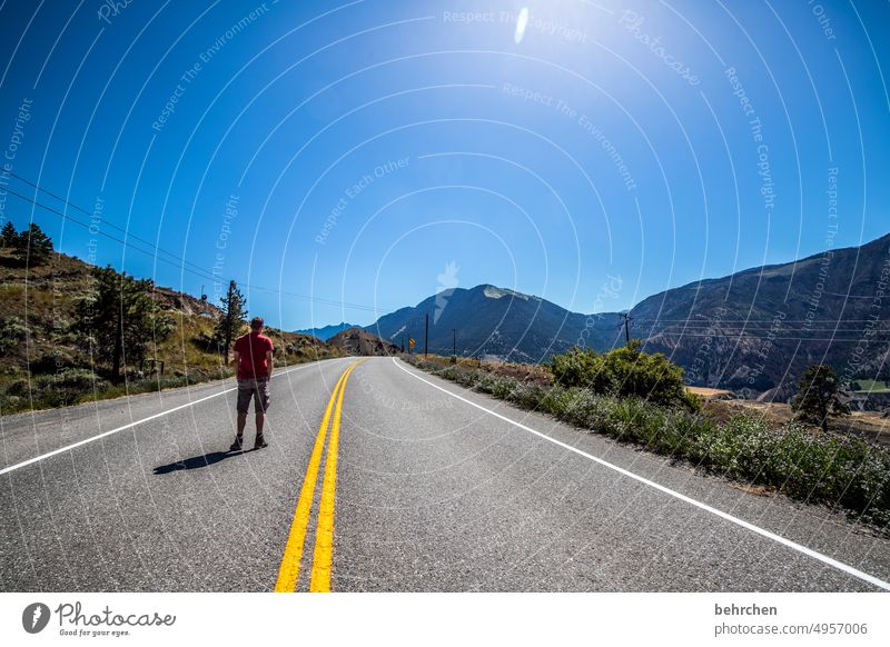 Open track Sky Tourism Colour photo Environment Mountain Willow tree Grass Wanderlust endless wide Lanes & trails Street Far-off places Vacation & Travel