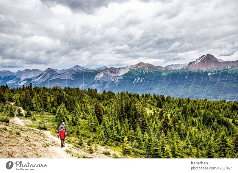 oh tannenbaum | free choice Impressive Rocky Mountains Son Trip hikers Boy (child) Infancy Father Man Child Freedom Vacation & Travel Wanderlust trees Adventure