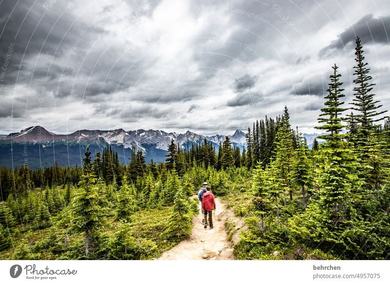 wanderlust Impressive Rocky Mountains Son Trip Trust hikers Boy (child) Infancy Father Man Child Freedom Vacation & Travel Colour photo Far-off places