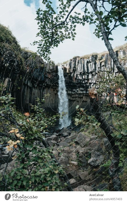 Svartifoss waterfall in Iceland during a moody day. Travel on van concept, road trip style. Visit Iceland and north countries concept.Copy space image stream