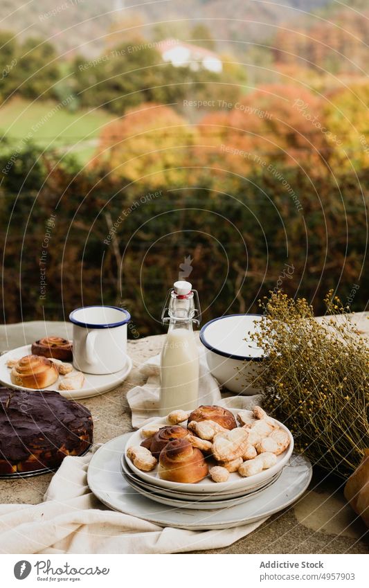 Tasty homemade pastry on dishes prepared for picnic in autumn garden drink dessert treat food cake bun fresh mug edible countryside roll baked beverage healthy