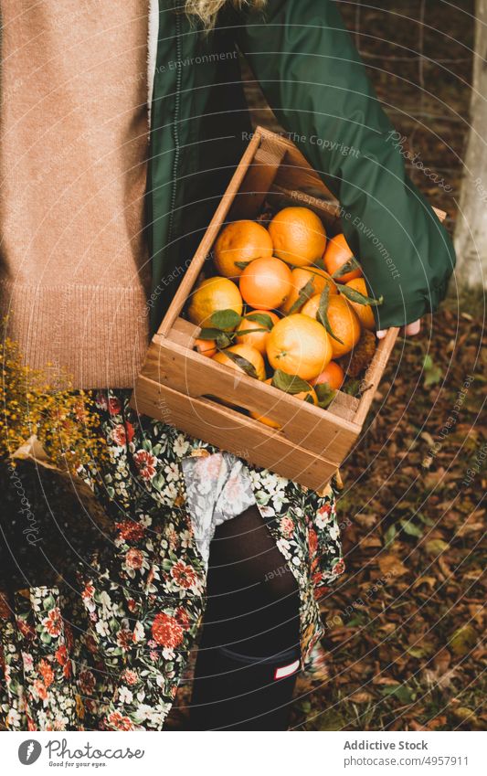 Anonymous woman with fresh tropical fruits in wooden crate in orchard orange harvest farmer juicy food ripe healthy horticulture natural garden nutrition