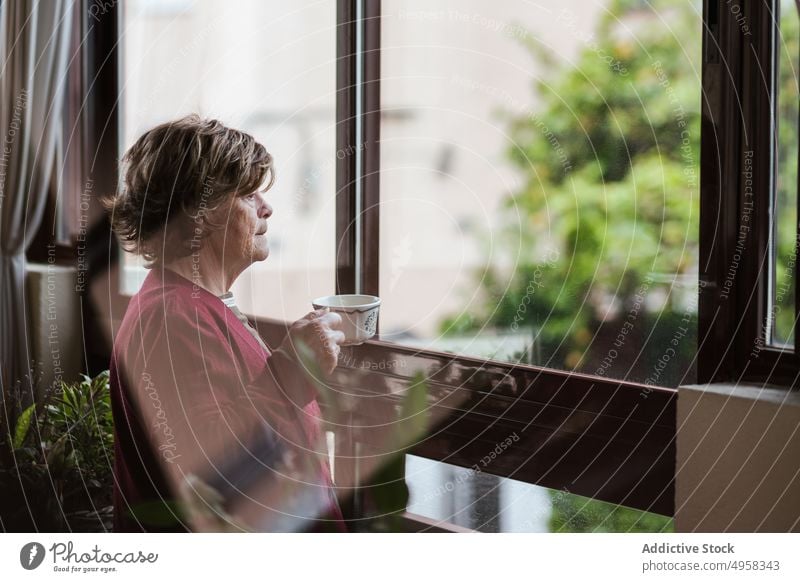 Pensive elderly woman drinking hot beverage near window cozy cup home pensive rest retire female casual room lifestyle contemplate relax dreamy aged peaceful