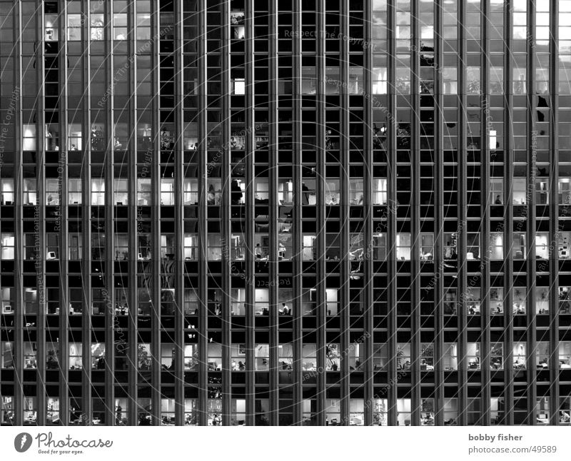 cage posture Work and employment Facade Black White Human being Profession File Glass Architecture