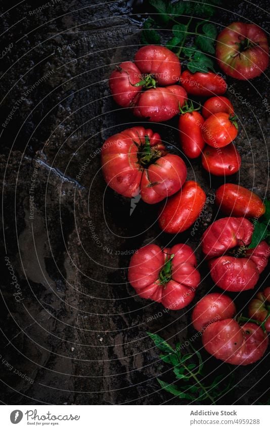 Red tasty wet tomatoes from the orchard food fruit grow farming healthy leaf vegetable garden juicy nature market nutrition color freshness above background