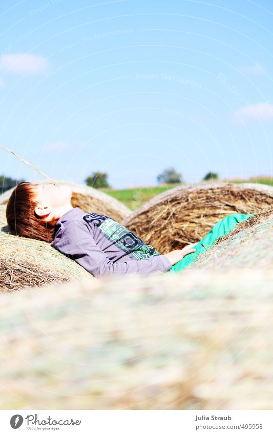 enjoy your childhood Masculine Boy (child) Infancy 1 Human being 3 - 8 years Child Sky Autumn Beautiful weather Bale of straw Straw Blade of grass Field Pants