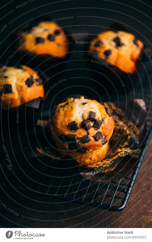 Chocolate muffins on cooling rack baked breakfast butter cake chocolate cupcake dark dessert food sweet fresh delicious tasty yummy calories snack pastry