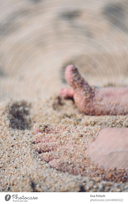 SAND - FEET - SUMMER Summer Summer vacation Vacation & Travel feet Tourism Sand Colour photo Relaxation Beach Nature Sandy beach Exterior shot