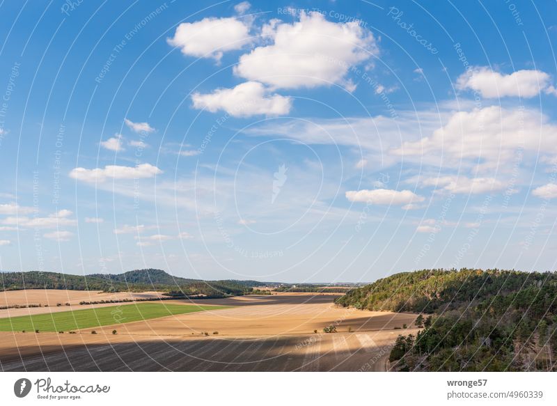 View from the Großer Thekenberg in beautiful early autumn weather into the northern Harz foreland with the Hoppelberg on the horizon Landscape