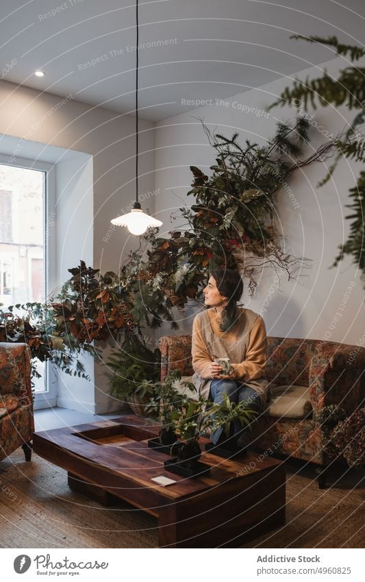 Calm adult woman sitting on soft couch and dreaming while having hot drink at home among lush foliage of houseplants in modern apartment leaf contemplate