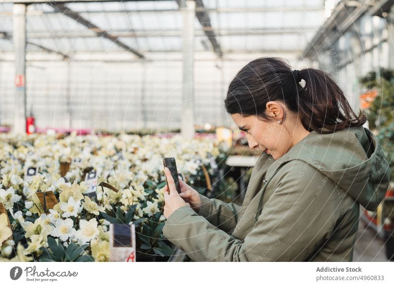 Pensive adult woman photographing with smartphone white potted narcissus in modern greenhouse market photography shooting flower calm plant bloom fresh pensive