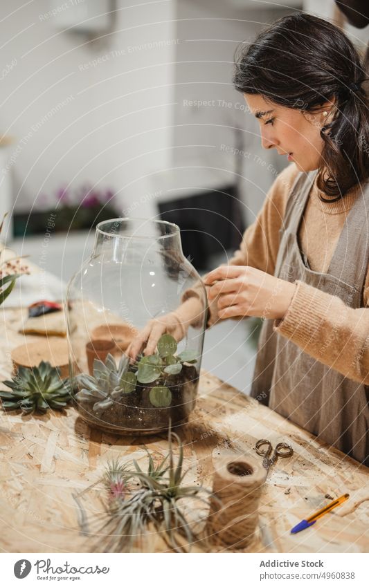 Attentively pensive florist making potted composition with small succulent terrarium compose woman cactus houseplant decor focus home workplace flora female