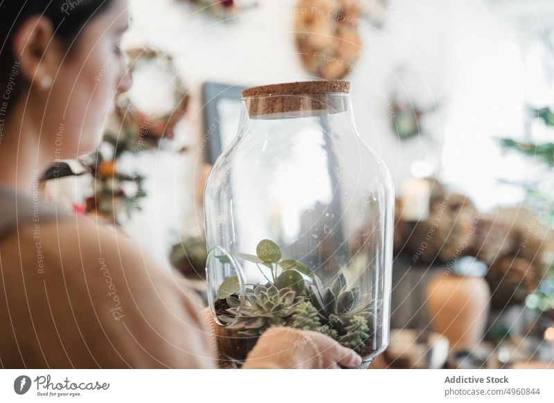 Woman admiring potted composition of small green succulents at home woman terrarium grow cactus houseplant flora female floristry decorator waterless design