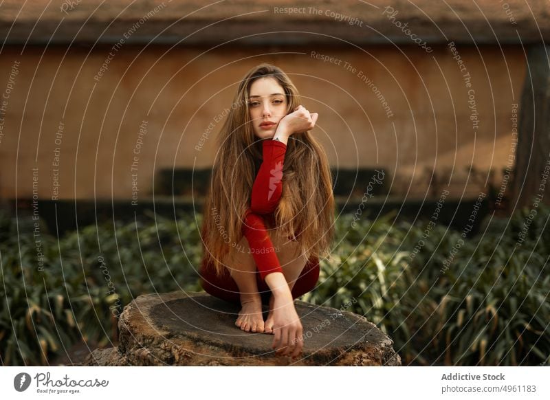 Young sensual woman in nature portrait countryside sitting cut tree trunk barefoot beautiful teen dreamy feminine young field pretty red flowers rural meadow