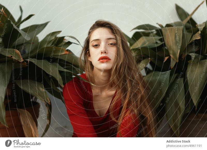 Young dreamy woman among plant leaves portrait countryside beautiful teen nature feminine young field pretty red flowers rural meadow summer cute lifestyle