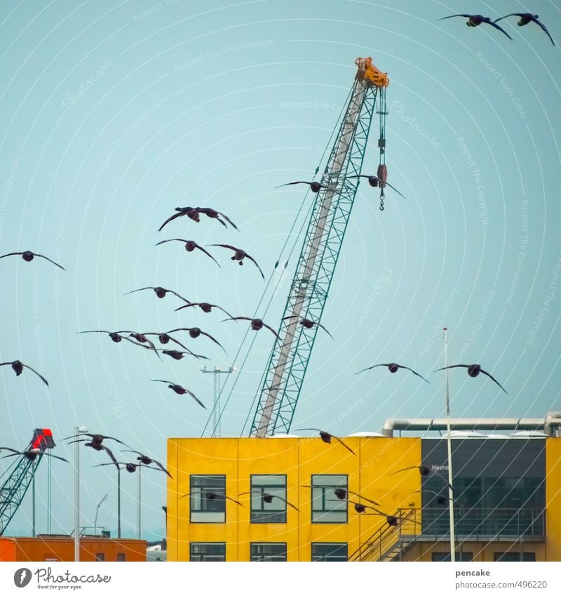 Rømø | harbour sightseeing flight Machinery Advancement Future Cloudless sky North Sea Port City Building Navigation Harbour Bird Flock Power Flexible Life