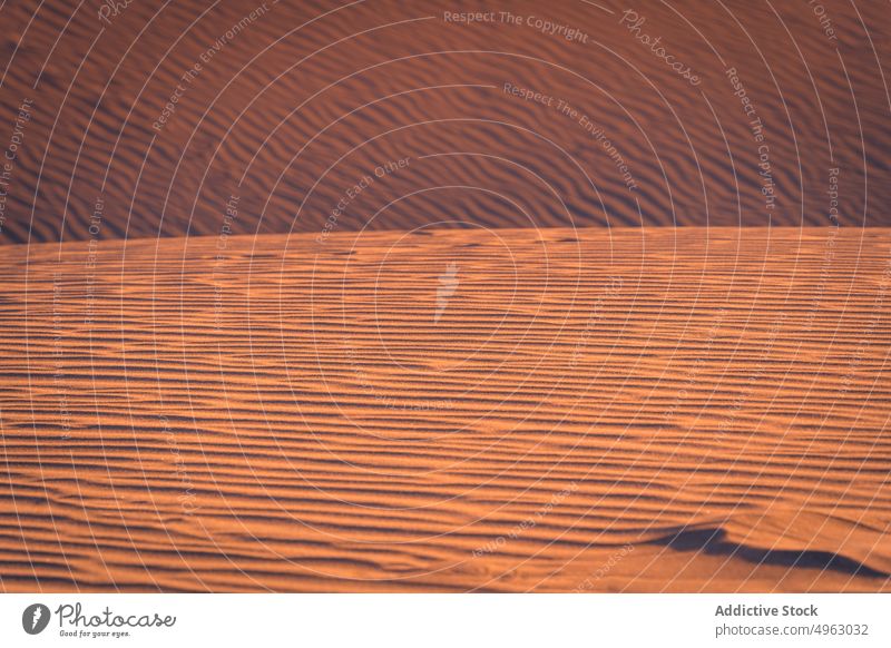 Wavy surface of dry sand arid wavy beach sunset uneven background nature texture gran canaria canary islands spain desert barren evening sunlight summer dune