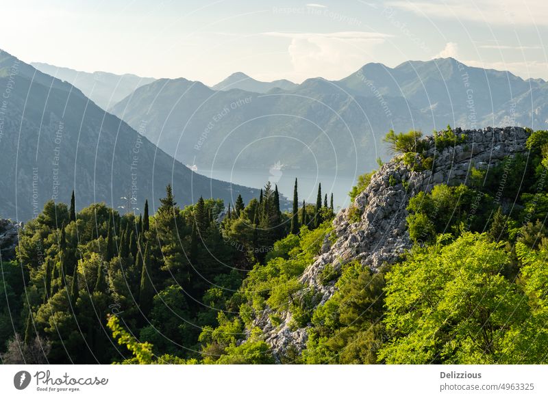 Bay of Kotor from above with sky and green mountains, Montenegro kotor bay view landscape montenegro montenegrin europe blue day daytime no people visit tourism