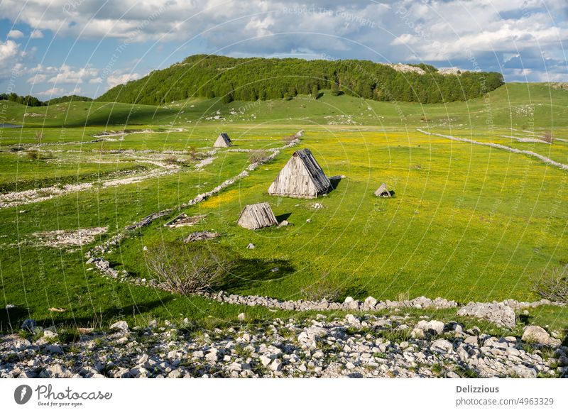 Green field with old wooden houses in Montenegro green grass deserted calm path way sky blue clouds montenegro europe travel visit lush summer spring no people