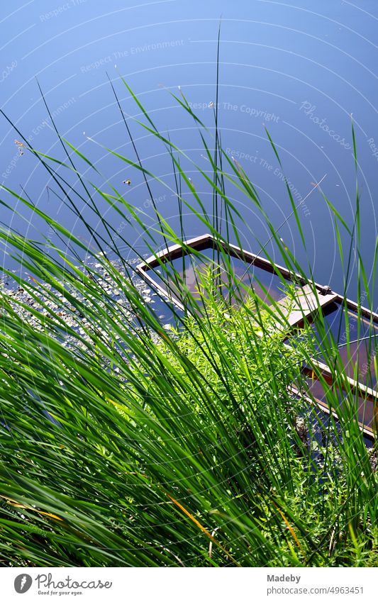 Green floodplain in summer sunshine with old sunken wooden boat and green grasses by the water in Acarlar floodplain forest near Karasu in Sakarya province, Turkey